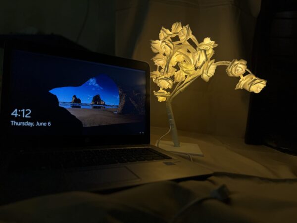 Beautiful White Flowers Lamp With USB Cable For Office table decor, Room Decor - Image 2